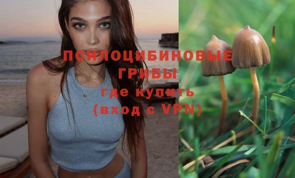 экстази Касимов