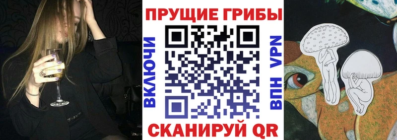 Галлюциногенные грибы прущие грибы  Купить закладки  Таштагол 